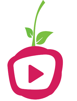 Cursos en ofertas online de seminarios